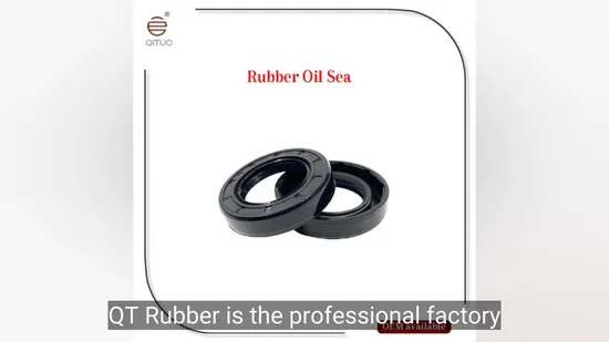China Factory High-Quality CE Standard NBR, FKM Rubber O Rings Repair Kits